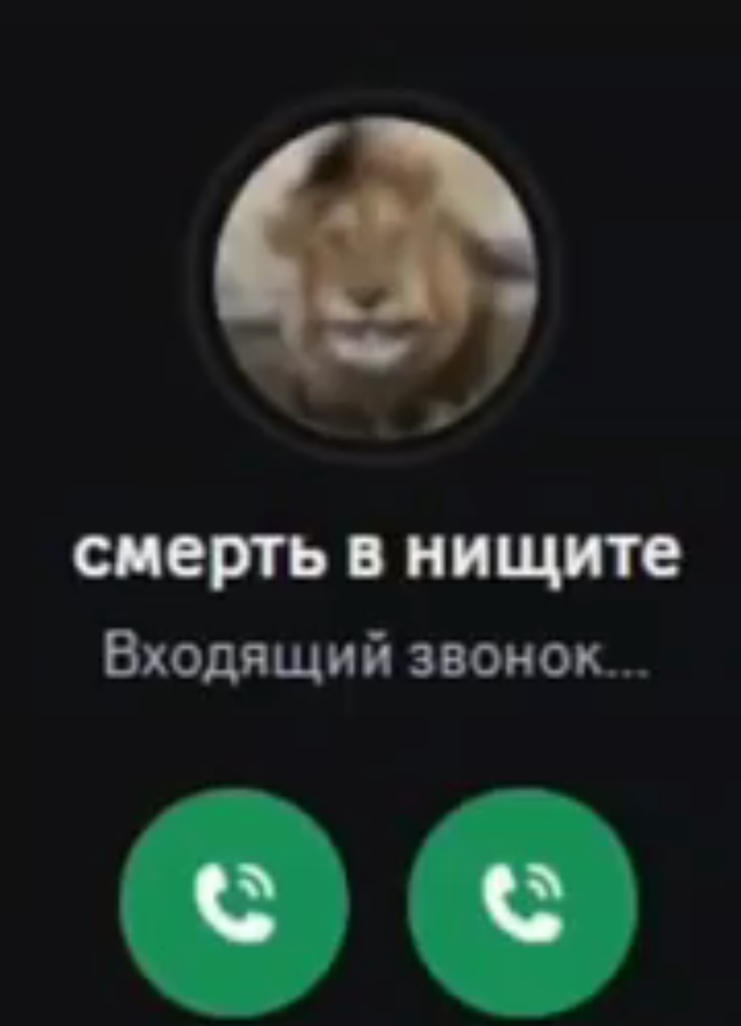 1080x1495