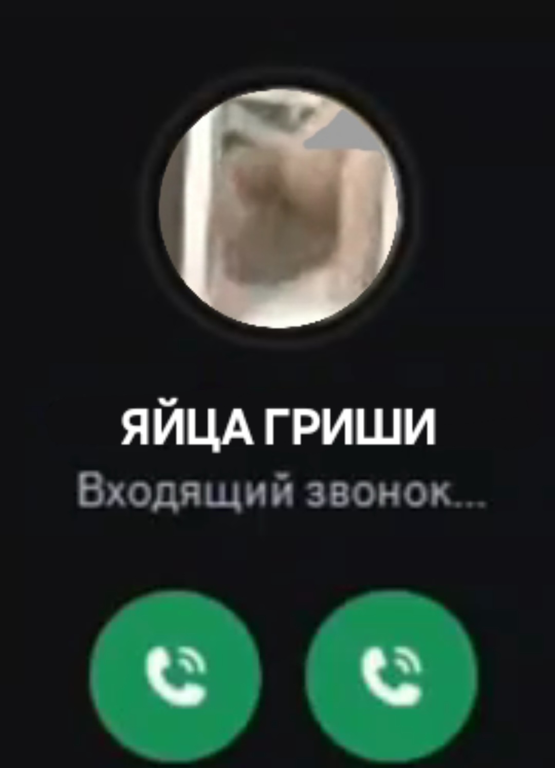 1080x1494
