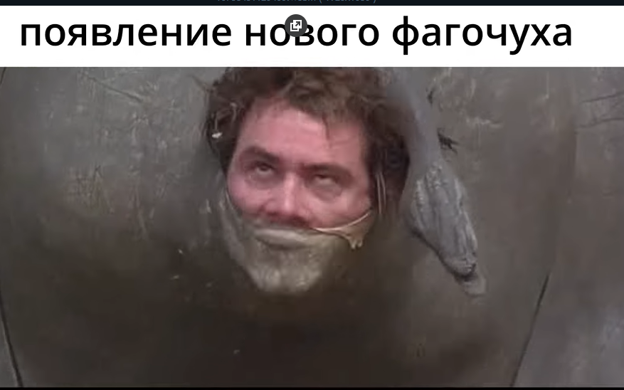877x548