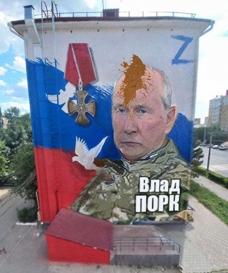 446x533