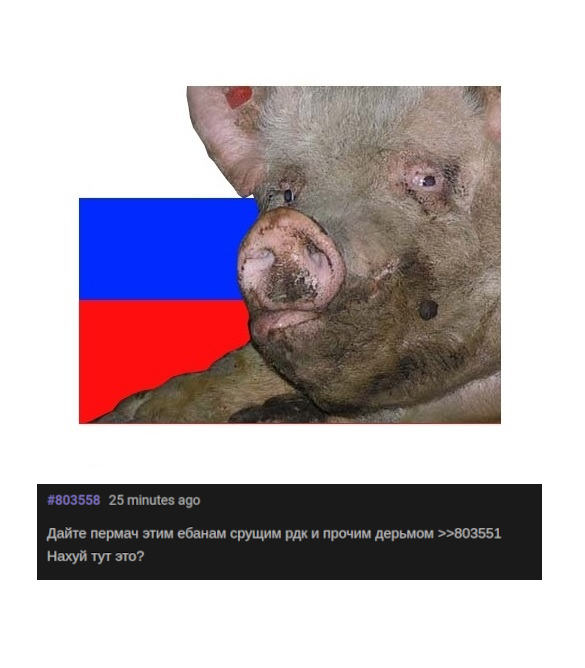585x668