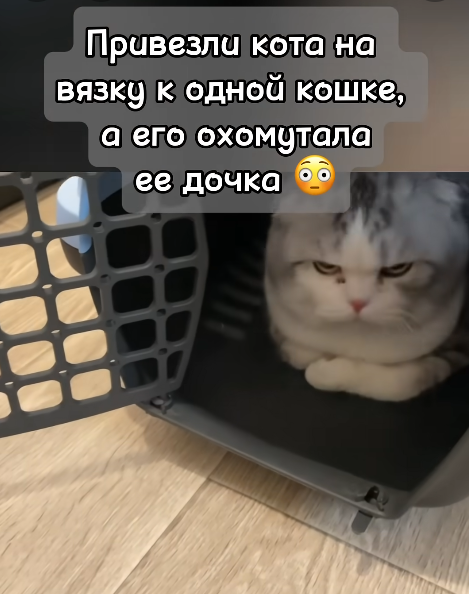 469x594