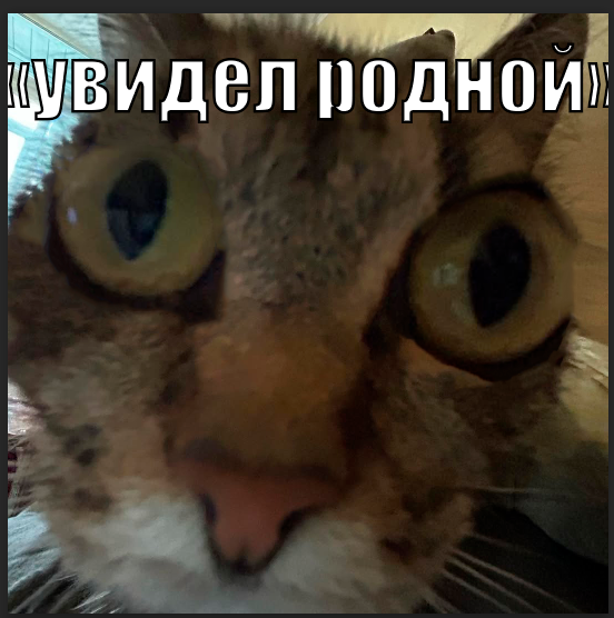 552x556