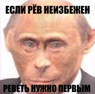 336x330