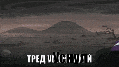 455x256