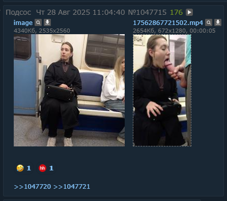 446x394