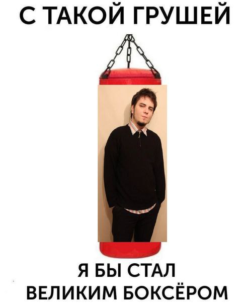491x604