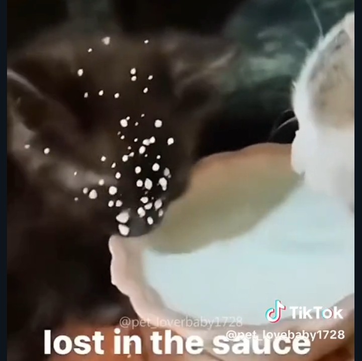 720x718