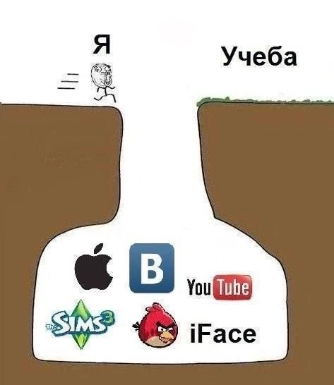 473x546