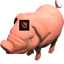 64x64