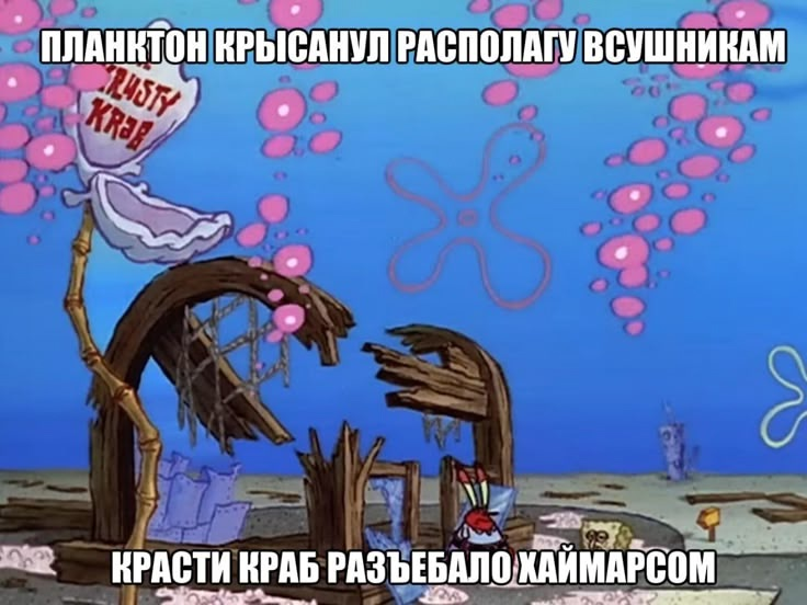 736x552