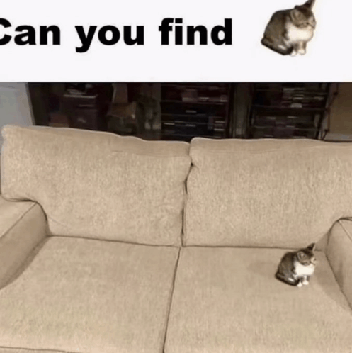 497x498
