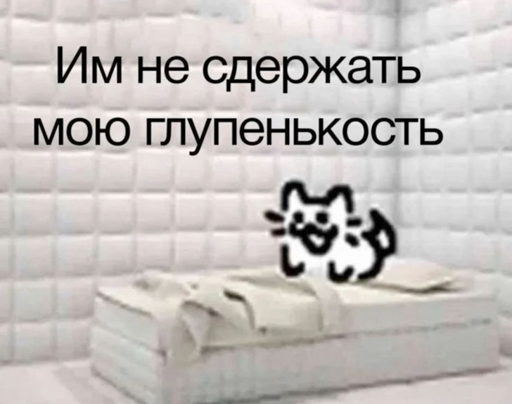 728x575