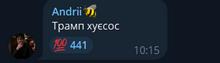 339x98
