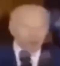 384x423