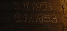 1482x682