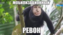 888x499