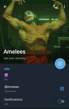 720x1133