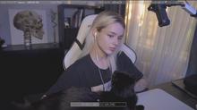 1340x754