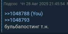 399x202