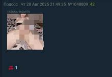 647x448