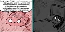 1309x651
