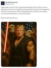 586x772
